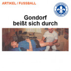 Download Presseartikel_Gondorf.pdf